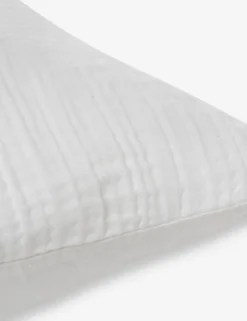 Darcy Sham 33 Darcy Sham -Home Product Store 103 V250172 3 900x c2dc3a83 0488 4d19 b802 be787c8379f4