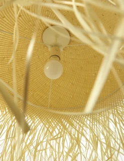 Clarissa Pendant Light -Home Product Store 229316 001 DET 2 scaled