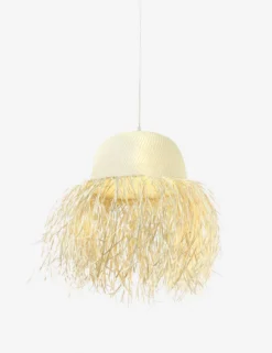 Clarissa Pendant Light -Home Product Store 229317 001 PRM 1 scaled