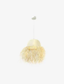 Clarissa Pendant Light -Home Product Store 229317 001 PRM 3 scaled