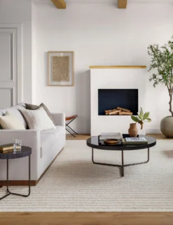 Gwyneth Rug -Home Product Store AYY2301 1012 roomscene 202 LIFESTYLE scaled