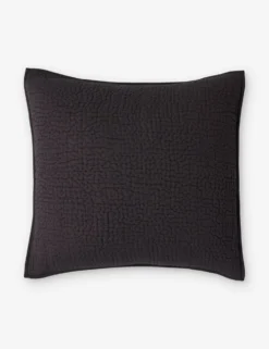 Clemence Sham -Home Product Store ClemenceSham Charcoal Euro L0466349 105 scaled