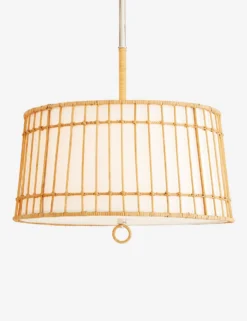 Sea Island Pendant Light By Arteriors -Home Product Store DW49001.d1 scaled