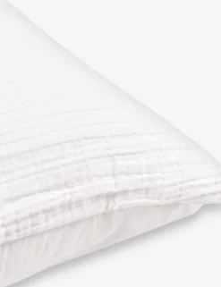 Darcy Sham 27 Darcy Sham -Home Product Store DarcySham2 ef35bb42 d492 4121 9bfb f0e6be8ba96e scaled