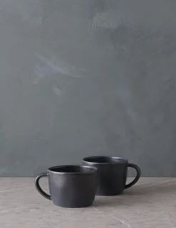 Livia Mug (Set Of 2) By Costa Nova 15 Livia Mug (Set Of 2) By Costa Nova -Home Product Store LiviaMug Setof2 byCasafina Black L0467327 2026 scaled