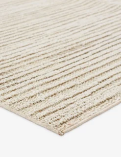 Jinlee Indoor / Outdoor Rug -Home Product Store PRA01 1