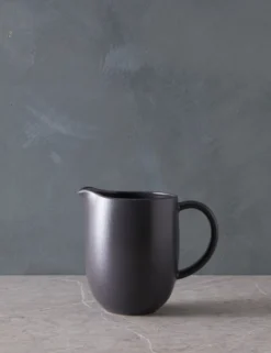 Pacifica Pitcher By Casafina 21 Pacifica Pitcher By Casafina -Home Product Store PacificaPitcherbyCasafina SeedGray L04672641634 scaled