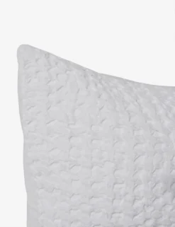 Signy Sham -Home Product Store SignySham White Euro L0466343 95 scaled