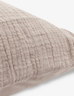 Darcy Sham 19 Darcy Sham -Home Product Store V250187 3 scaled