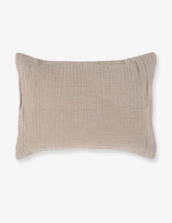 Darcy Sham 20 Darcy Sham -Home Product Store V250188 1 scaled