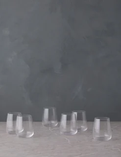 Vine Tumblers (Set Of 6) By Costa Nova