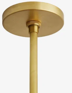 Swami Pendant Light By Arteriors -Home Product Store phedora pendant 8 1